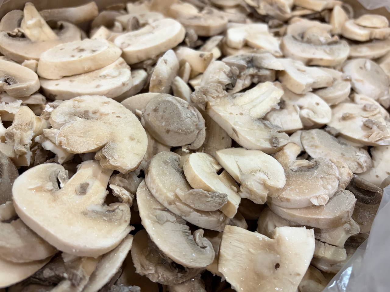 photo_2026-02-13_12-58-52