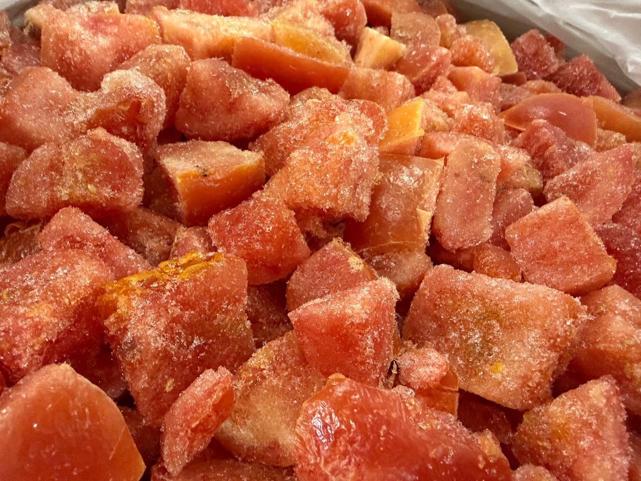 photo_2026-02-19_16-13-25