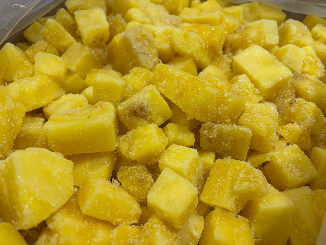 photo_2026-03-04_14-10-34