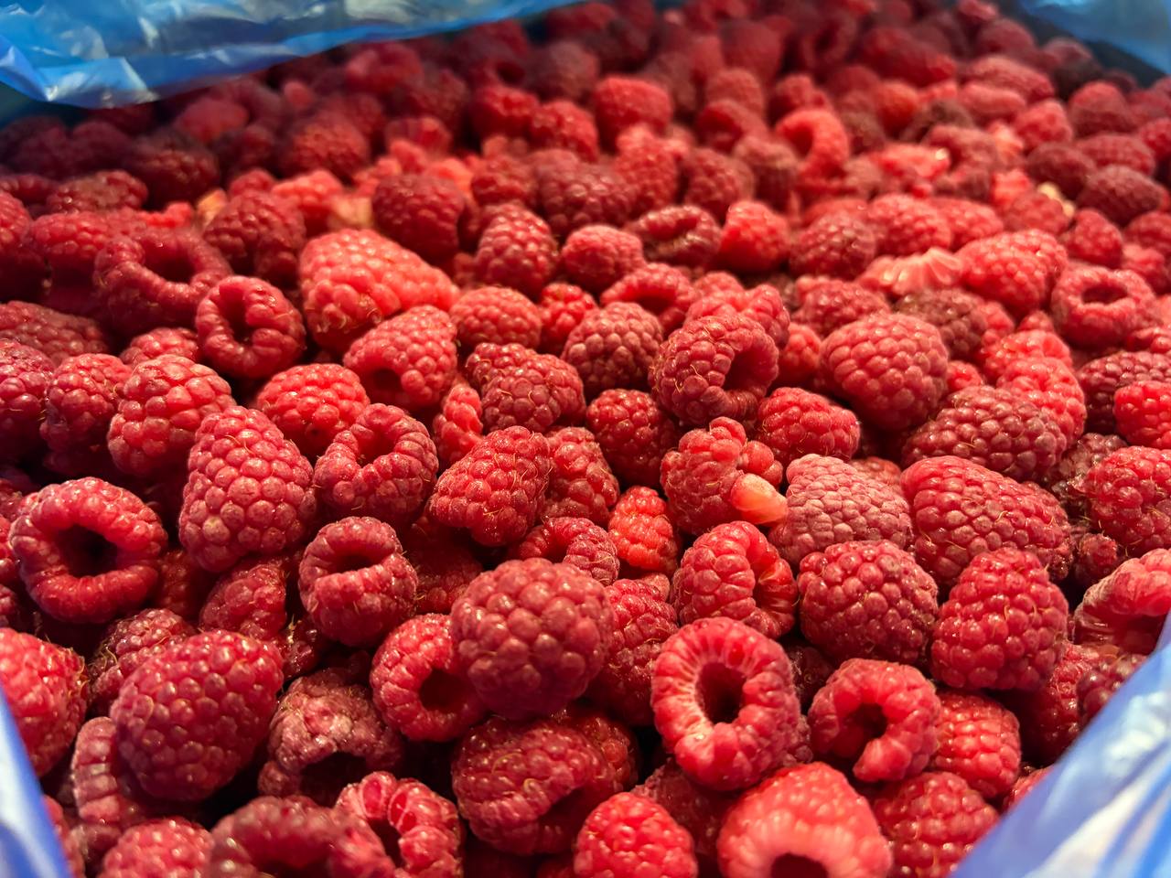 photo_2026-03-16_13-43-31